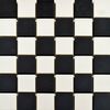 Sample - Victorian White & Black Chequer Mosaic