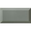 Sample Metro Sage Gloss 100x200