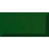 Sample Metro Verde Botella Gloss 100x200