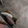 Proxi Bruno Stone Effect Tiles 48x96