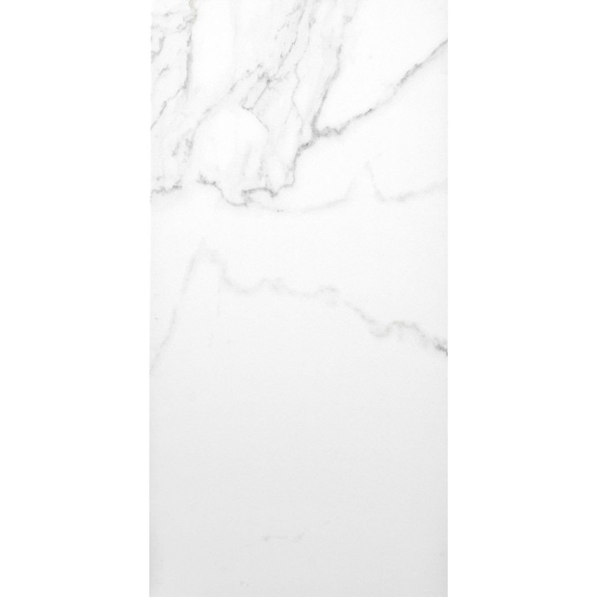 Sample - Palatina 30x60 Matt Marble Effect Tile