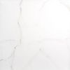 Sample - Palatina 60.5x60.5 Gloss Marble Effect Tile