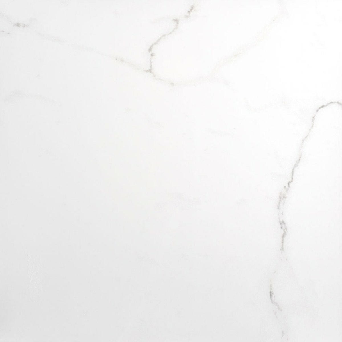 Sample - Palatina 60.5x60.5 Matt Marble Effect Tile