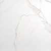 Sample Palatina 60.5x60.5 Matt Marble Effect Tile