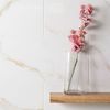 Sample Palatina Gold Gloss 60x30 Marble Effect Tiles