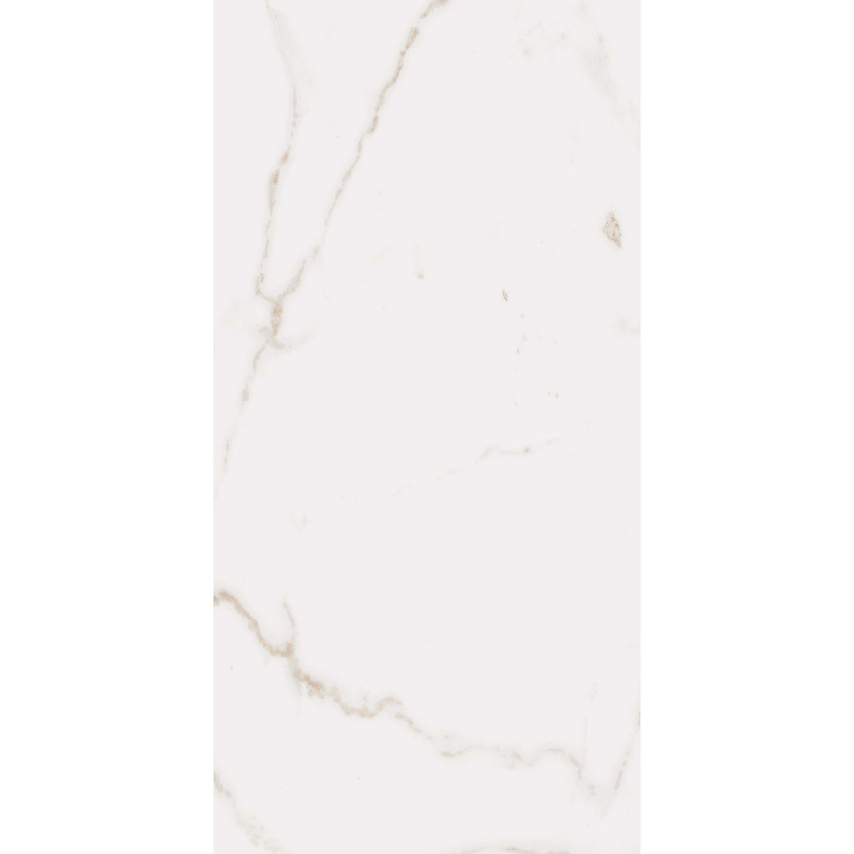 Sample - Palatina Gold Matt 30x60 Marble Effect Tiles