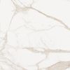 Sample Palatina Gold Matt 60x60 Marble Effect Tile