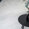Sample Palatina 60.5x60.5 Matt Marble Effect Tile