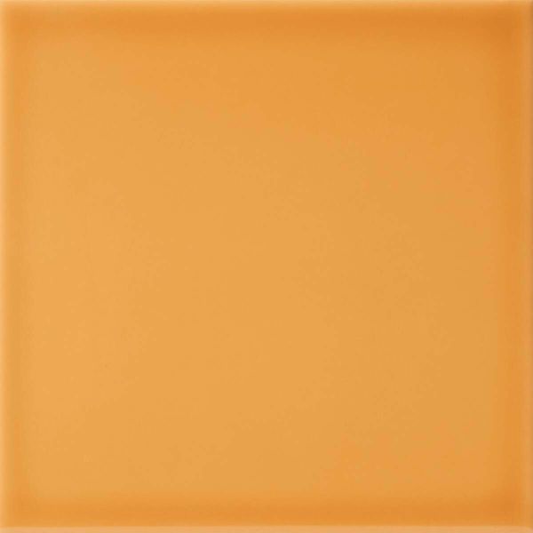 Sample Modern Heritage Dijon Tiles