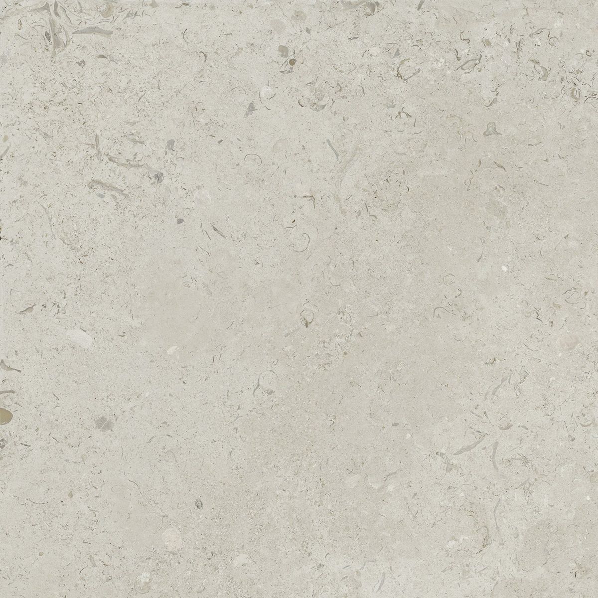 Sample - Coralina Blanco Travertine Effect Tiles 90x90
