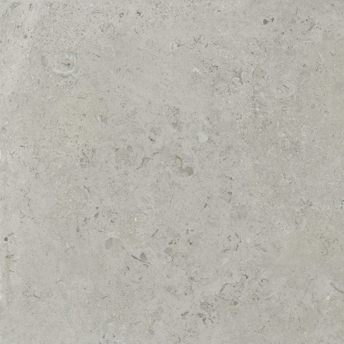Sample - Coralina Perla Travertine Effect Tiles 90x90