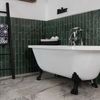 Sample Asly Green