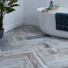 Sample Fresno Gris Wood Effect Wall and Floor tiles 570x190