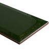 Sample Metro Verde Botella Gloss 100x200