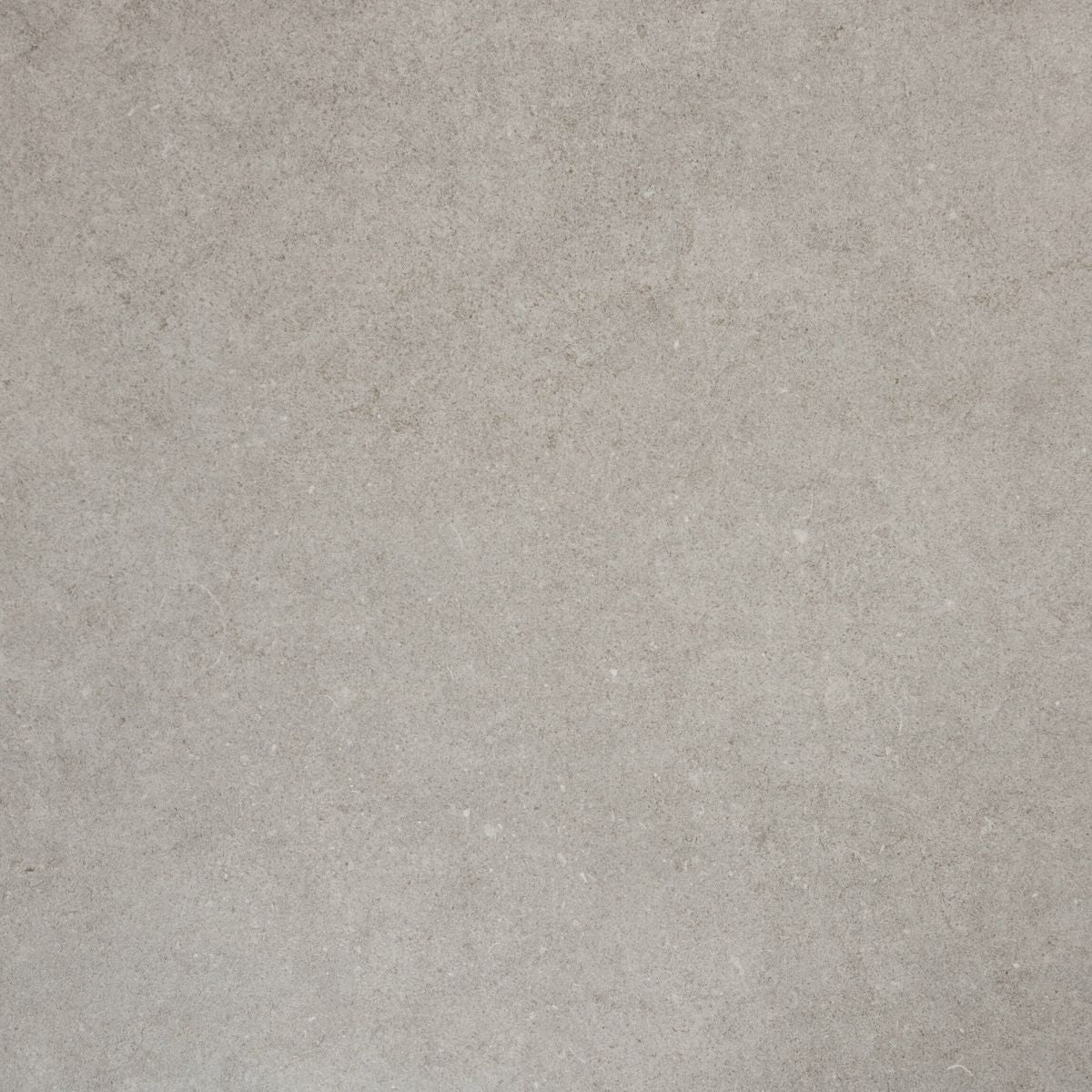 Sample - Loft Concrete Silver Concrete Effect Tiles