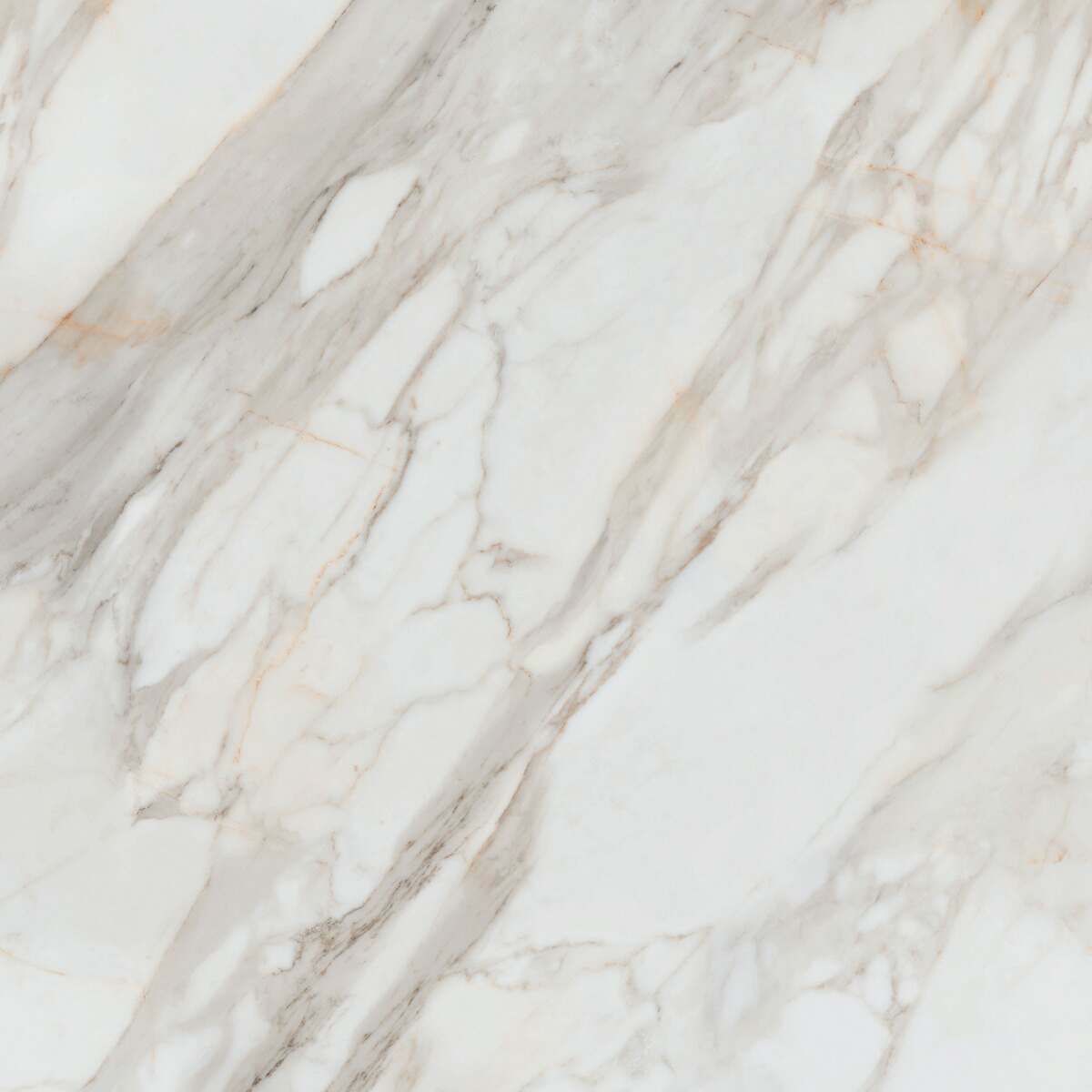 Sample - Maximum Calacatta Gold White Semi Polished Marble Effect Tile 1200x1200