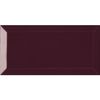Sample Metro Plum Gloss 100x200