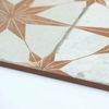 Sample Fs Star Oxide