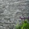 Sample Pompeya Dark