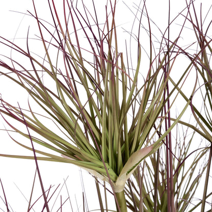 Water Bamboo Grass 48 Inch