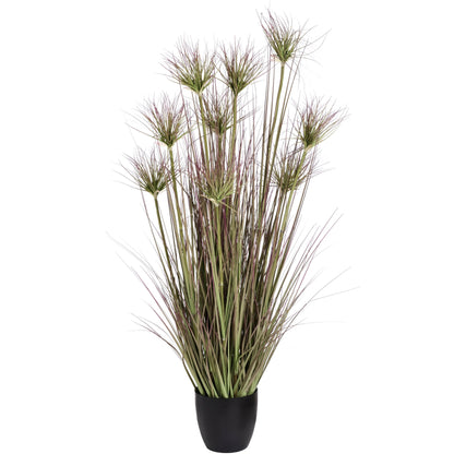 Water Bamboo Grass 48 Inch