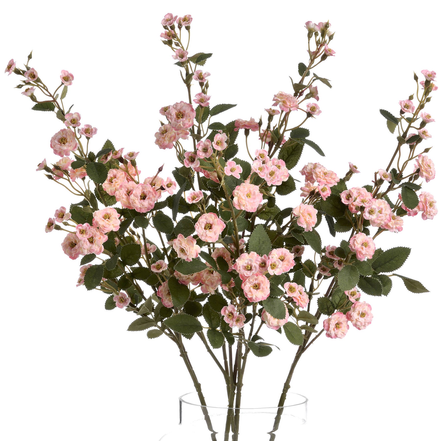 Pink Wild Meadow Rose