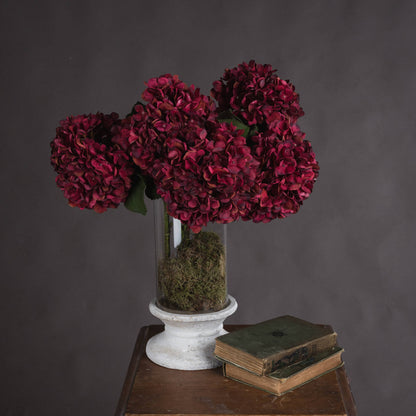 Autumn Ruby Hydrangea