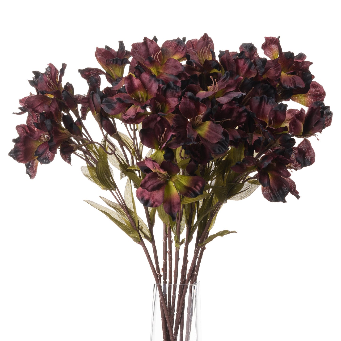 Chocolate Alstroemeria Lily Spray