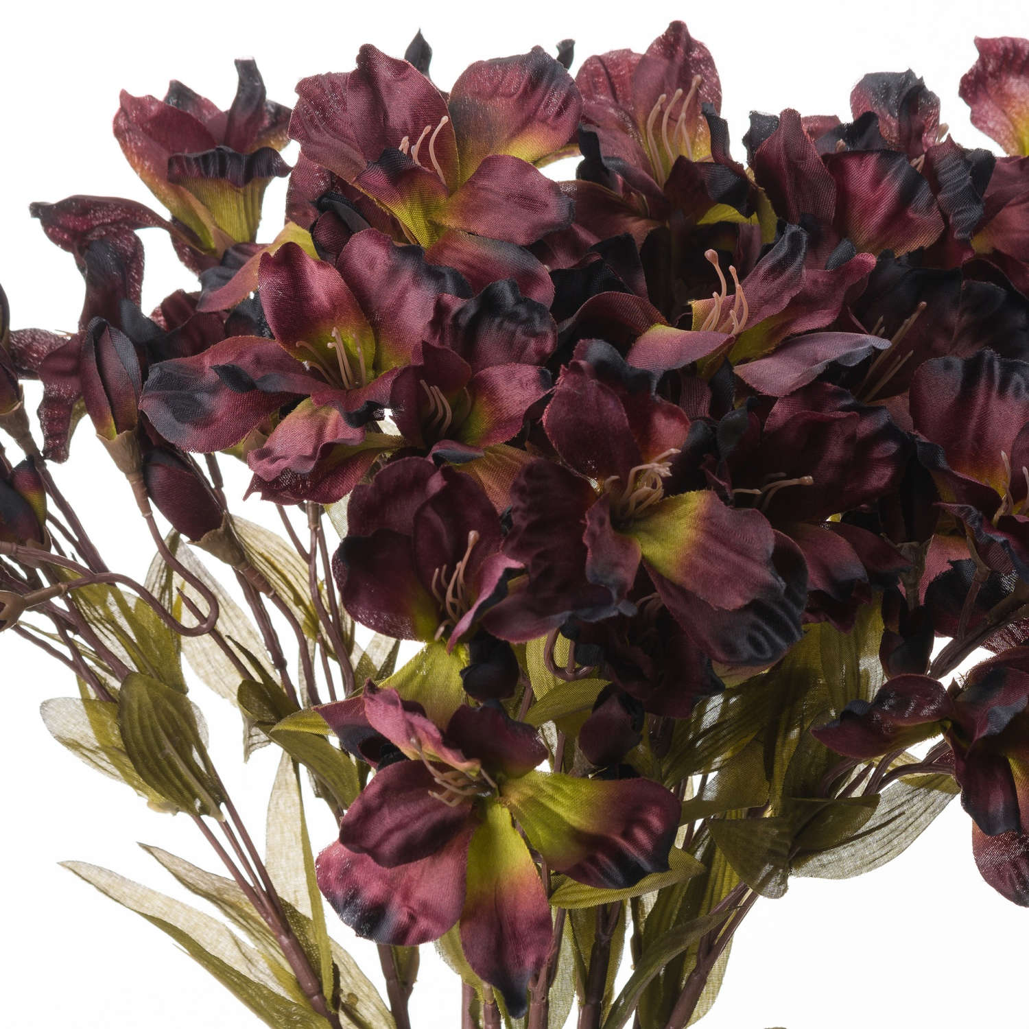 Chocolate Alstroemeria Lily Spray