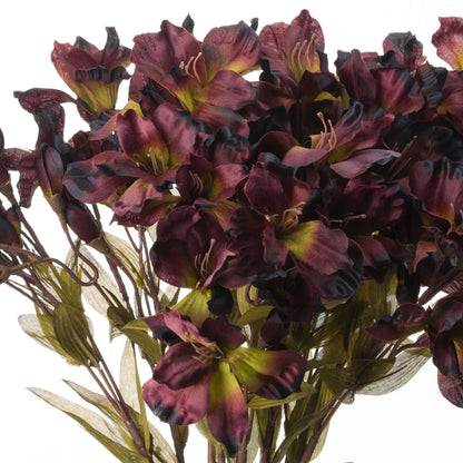 Chocolate Alstroemeria Lily Spray