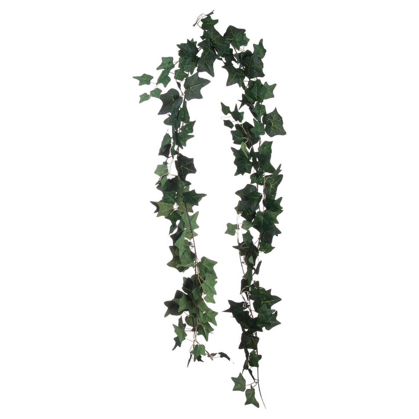 Ivy Garland