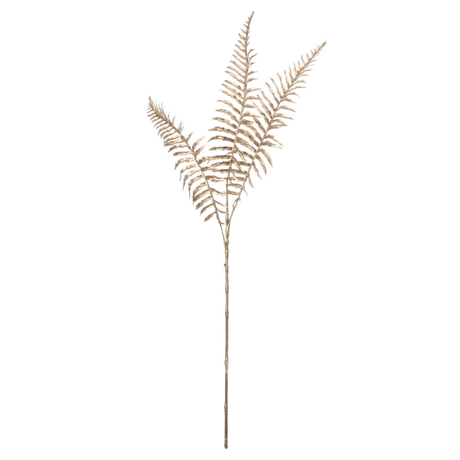 Gold Fern Spray