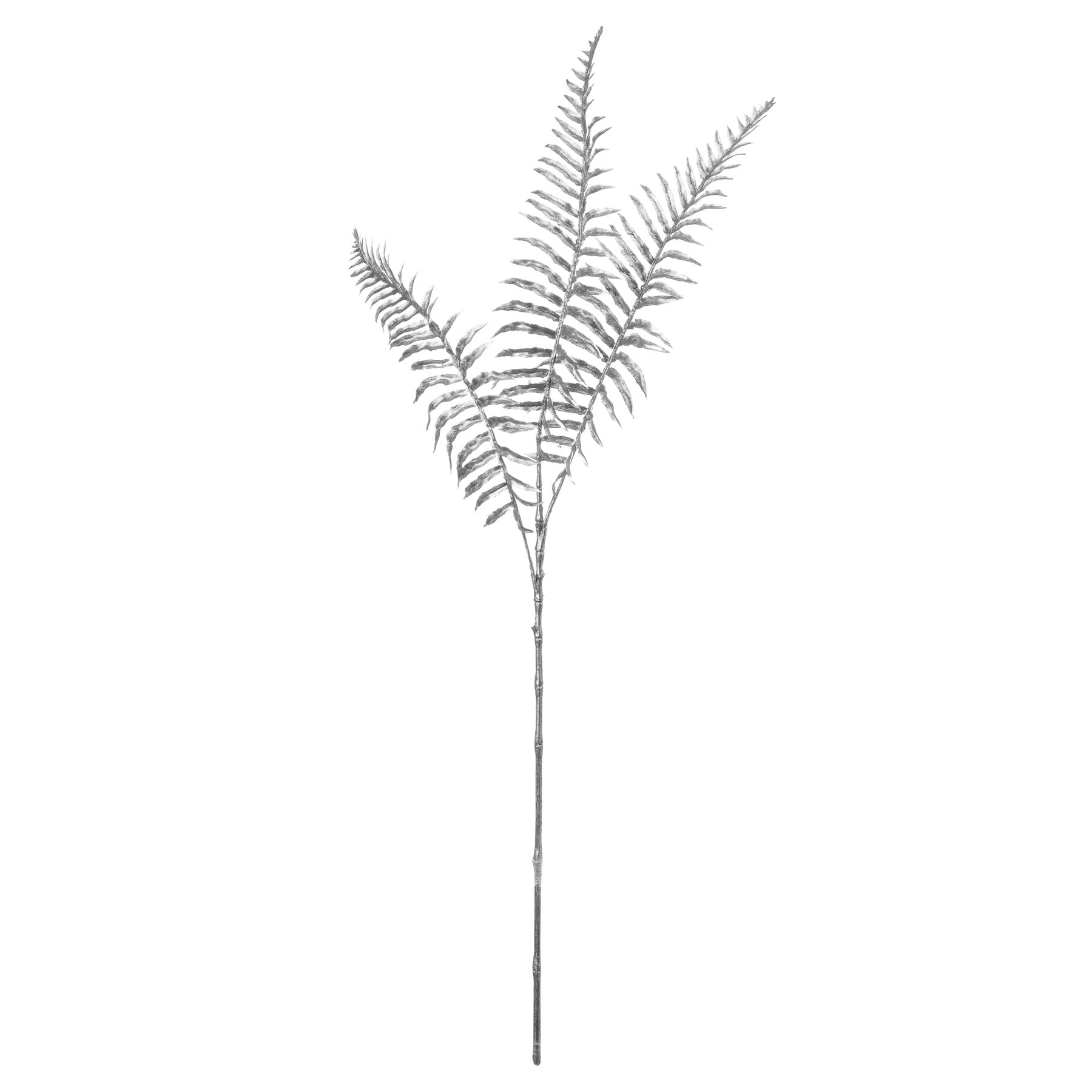 Silver Fern Spray