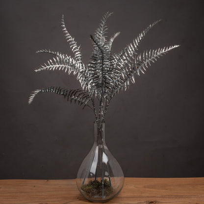 Silver Fern Spray