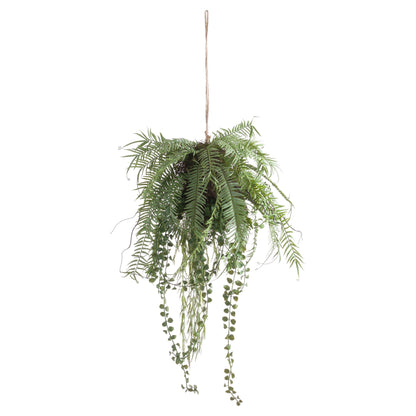 Fern Hanging Basket Arrangement