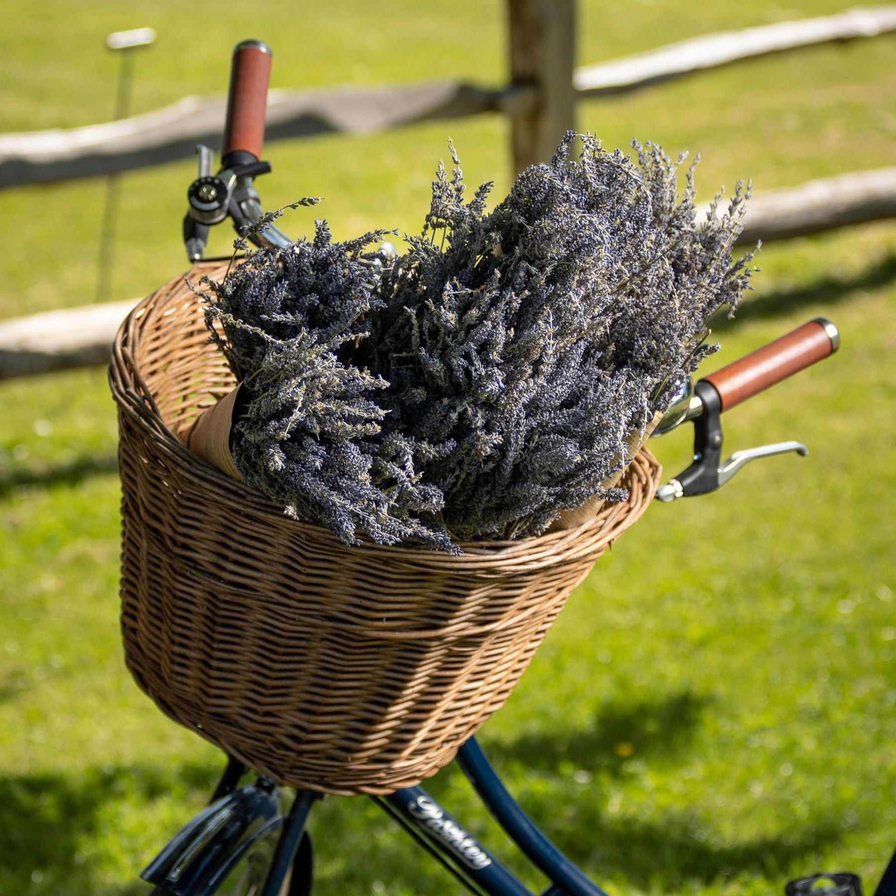 Dried lavender Bunch