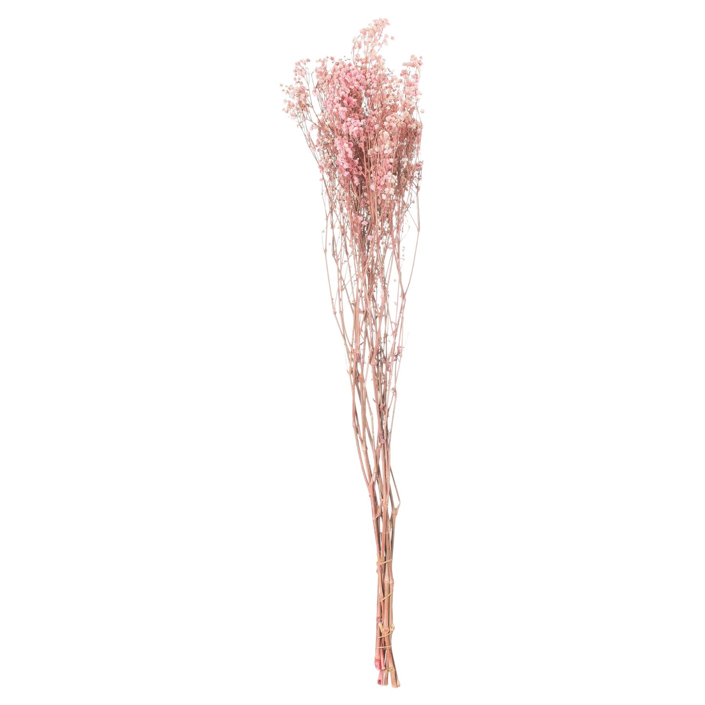 Dried Pale Pink Babys Breath Bunch