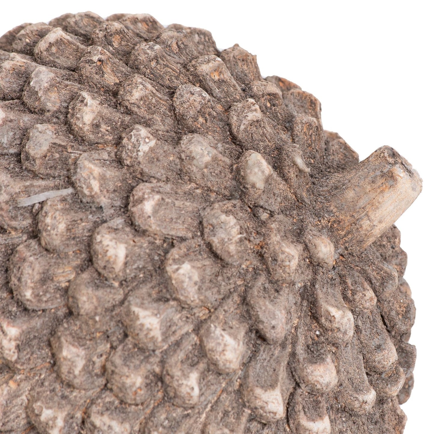 Large Stone Pinecone