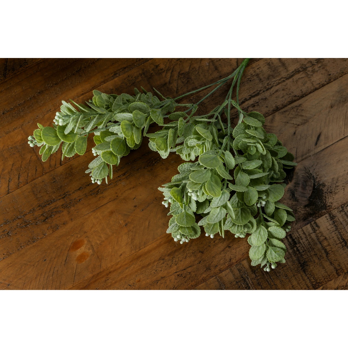 Spring Herb Greenery Bunch