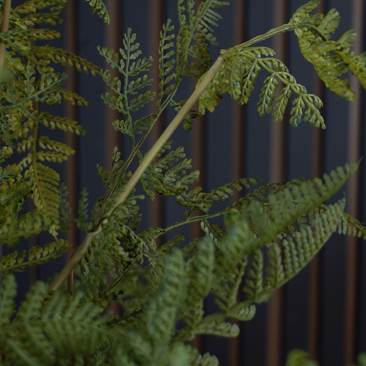 Large Tall Black Potted Fern