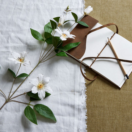 White Florida Clematis