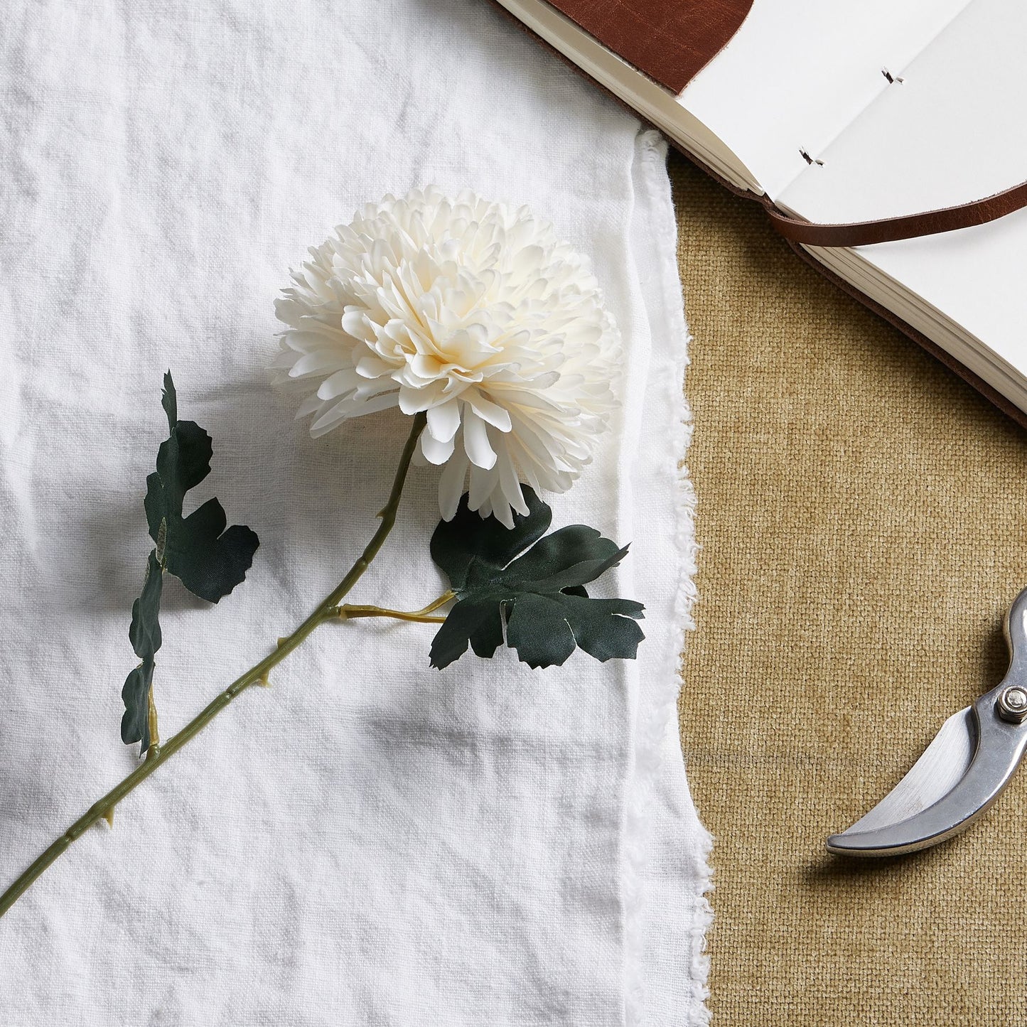 White Short Chrysanthemum