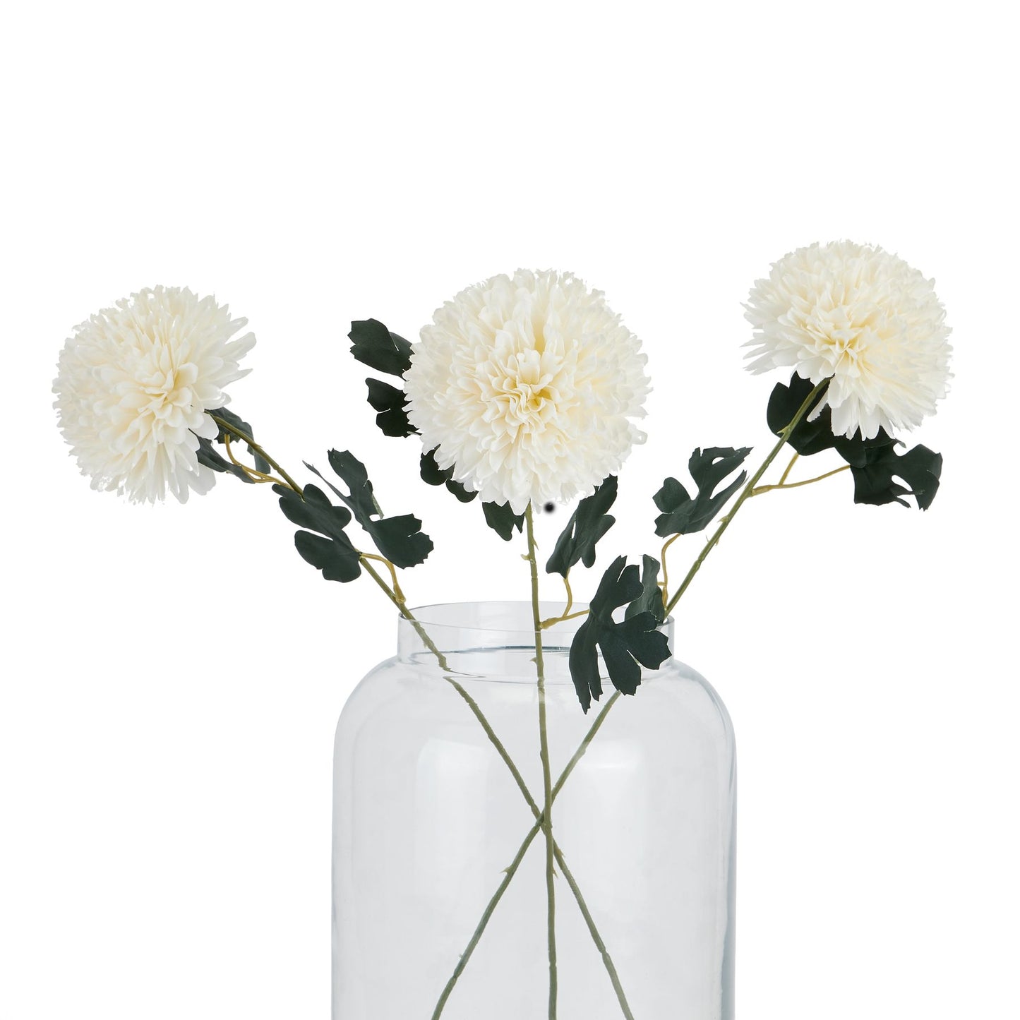 White Short Chrysanthemum