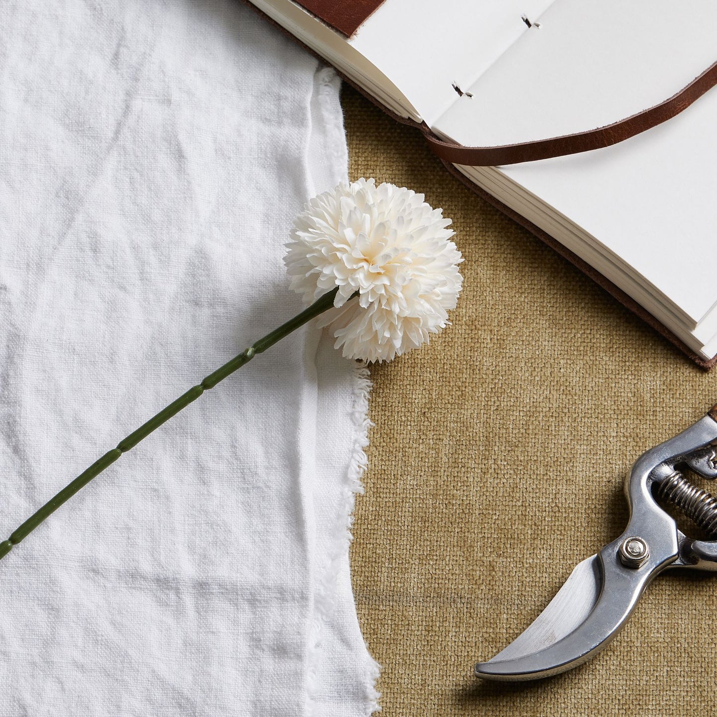 White Chrysanthemum