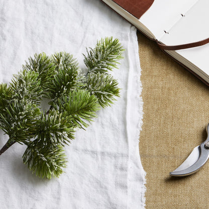 Frosted Pine Single Stem