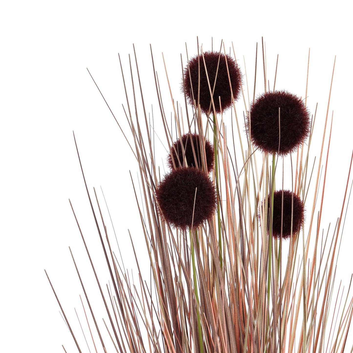 Burgundy Pompom Alliums In Black Pot