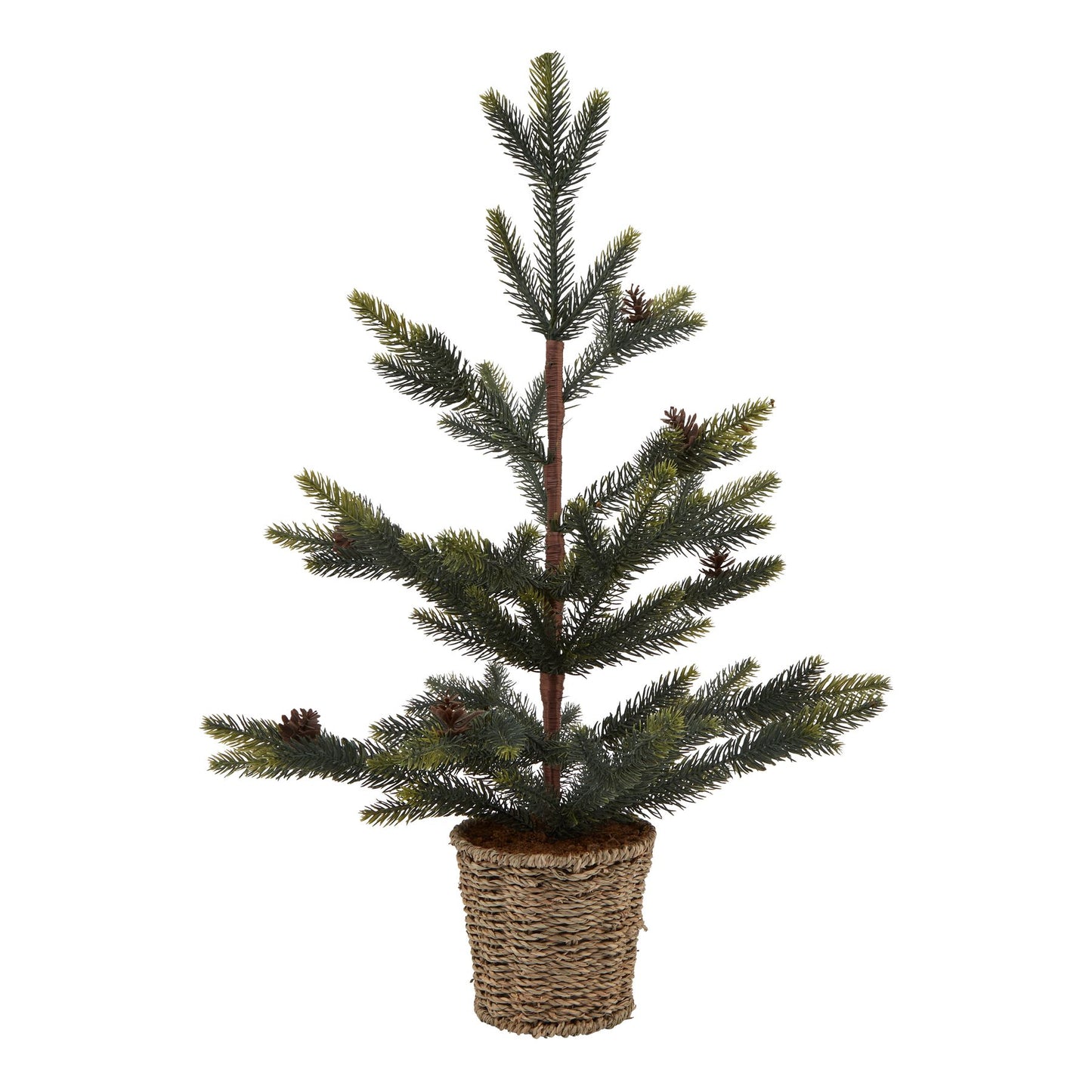 Medium Spruce Tree With Wicker Basket