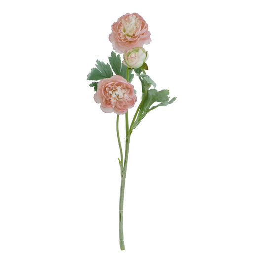 The Natural Garden Collection Pink Ranunculus