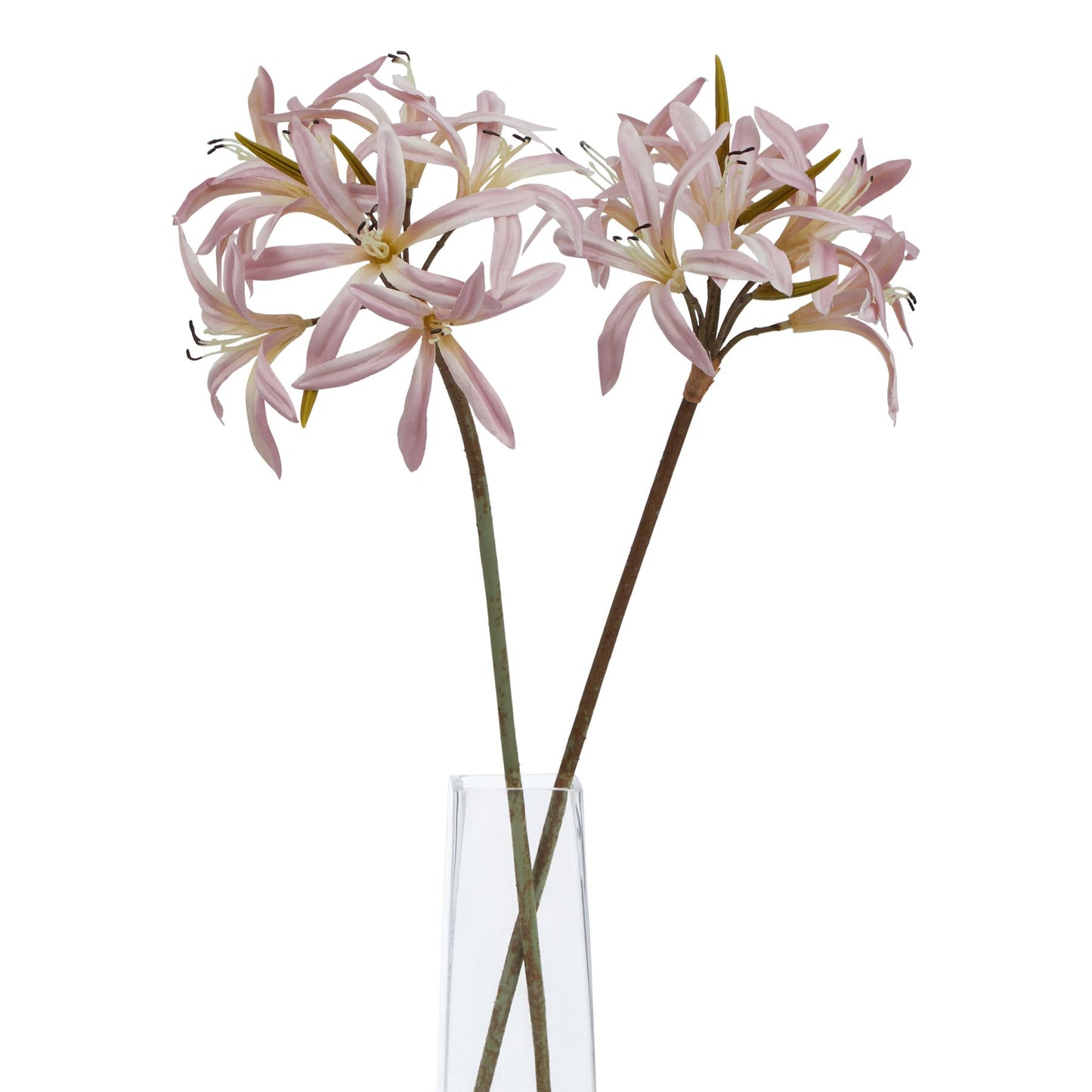 The Natural Garden Collection Pink Lily Stem