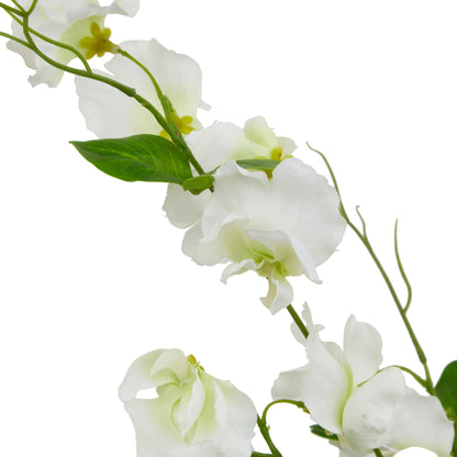 The Natural Garden Collection White Sweetpea Stem